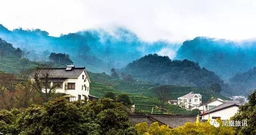 福州寿宁深山旅游攻略