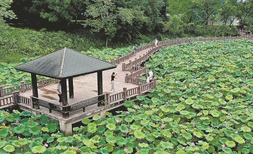 福建福州金山好玩公园
