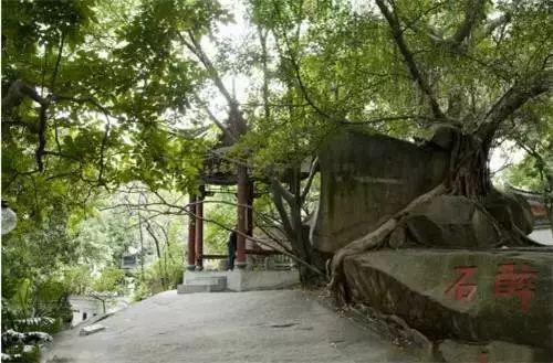 福州白云洞门攻略