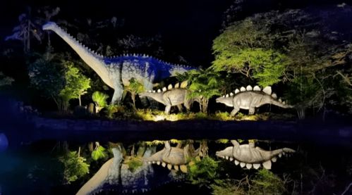 福州锦鲤岩哪里好玩