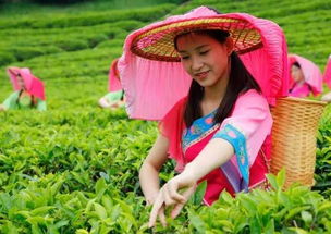 福州端午遛娃攻略