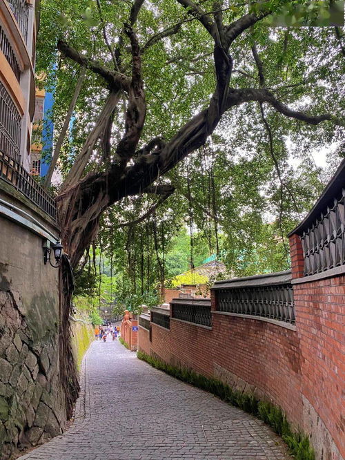 福州景点预约攻略最新