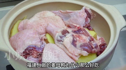 姜母鸭福州好吃吗