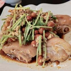 福州仓山好吃的粤菜