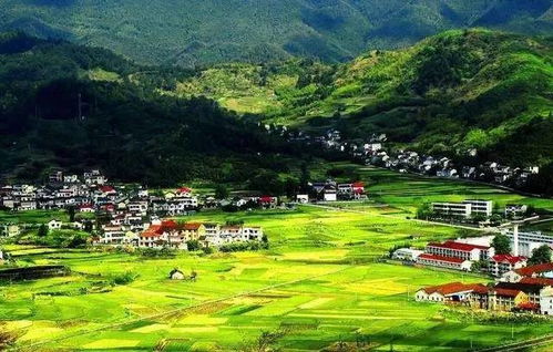 福州桂山村好玩吗