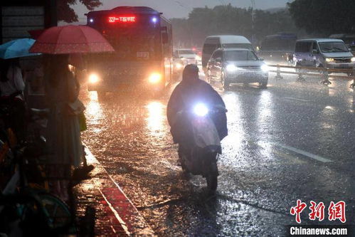 福州雨夜钓鱼攻略视频