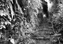福州鼓岭登山攻略