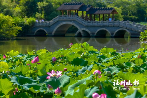 福州夏季哪个公园好玩