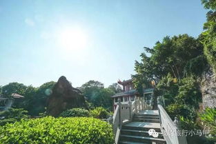 福州南洋公园拍照攻略
