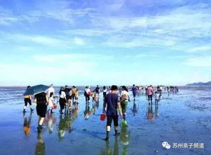 赶海去哪里福州最好玩