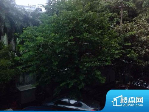 福州公寓温泉哪里好玩的
