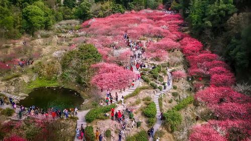 几路去福州郊野公园好玩