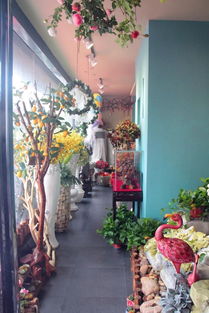 福州哪里有好玩的花店