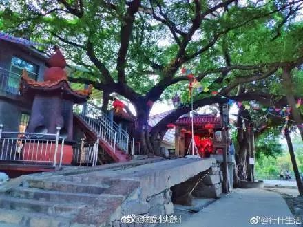 福州仓山林浦好玩吗