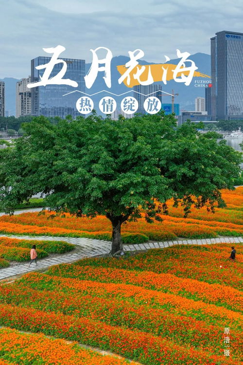 福州初夏有什么好玩的
