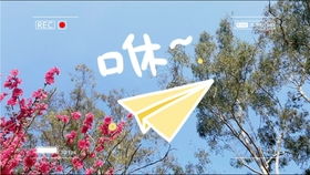 福州旅游送礼攻略最新