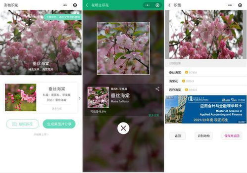 福州花小程序攻略