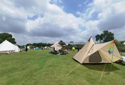 福州金山公园露营攻略