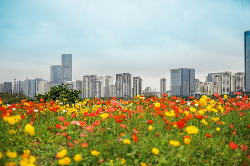 花海公园福州哪里好玩的