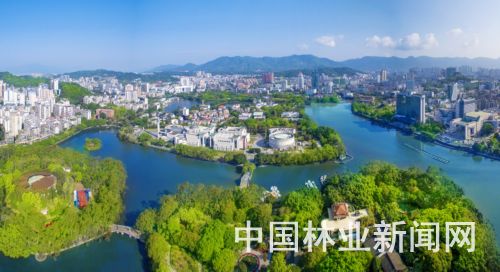 福州绿荫满城旅游攻略