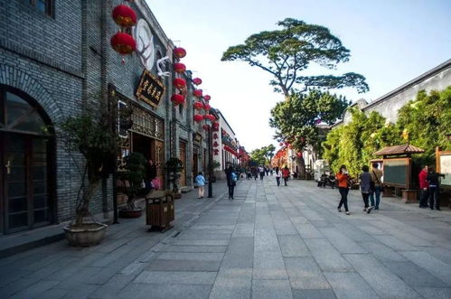 福州先锋市场旅游攻略