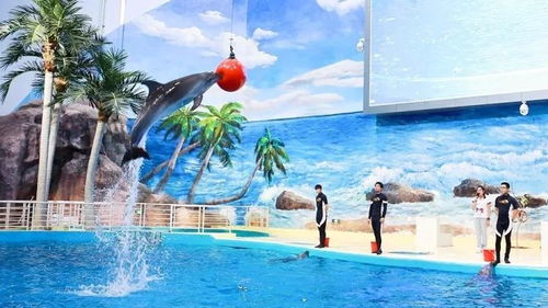 福州海洋梦幻公园攻略