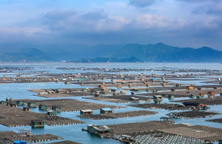 福建福州金沙湾攻略