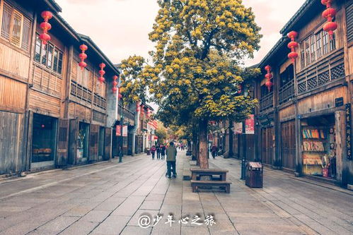 福州旅游攻略1月