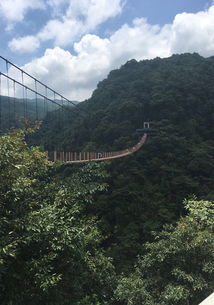 福州乌山路旅游攻略