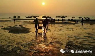 福州露营沙滩在哪里好玩