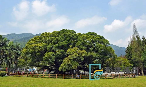 福州森林林公园好玩吗