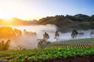 福州雨季旅游攻略最新