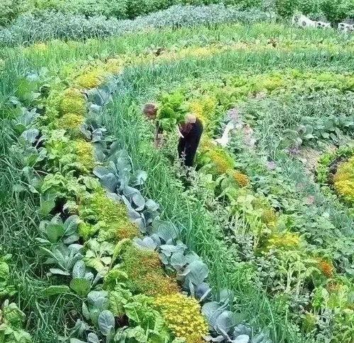 福州私人菜园哪家好吃