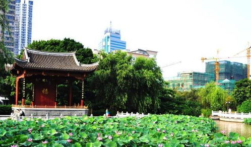 福州五凤公园好玩吗