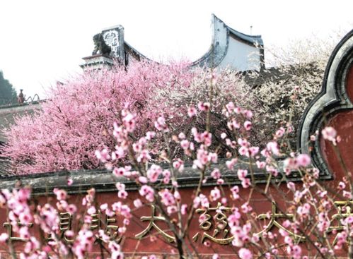 福州春节度假攻略