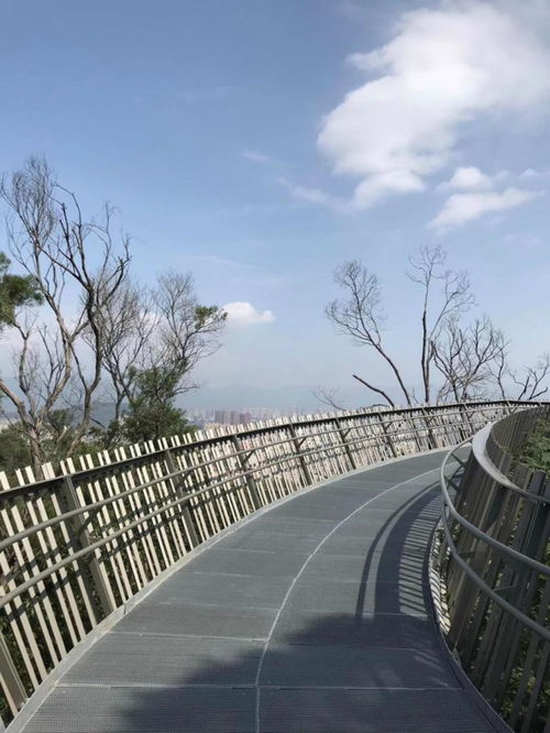福州1月旅游攻略