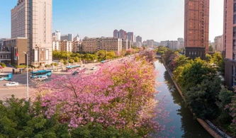 福州旅游攻略最美转角