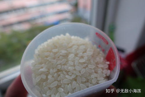 福州怎么煮米饭好吃