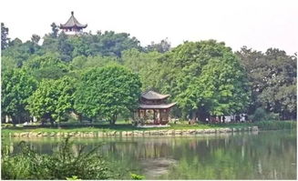 福州西湖和左海哪个好玩