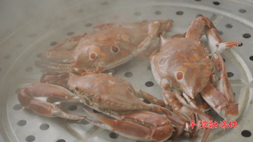 福州海鲜马鲛鱼哪家好吃
