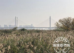 花海公园福州冬天好玩吗