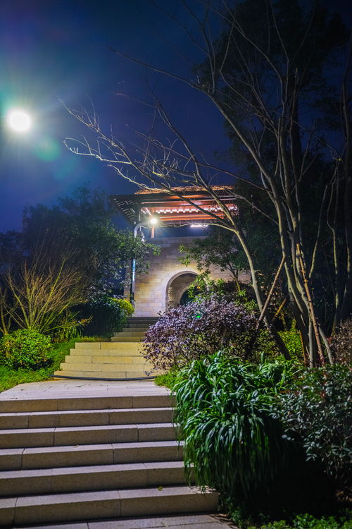 福州郊野公园夜景攻略