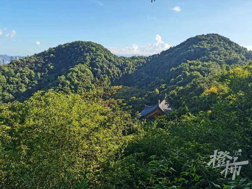 福州罗汉山按摩哪里好玩