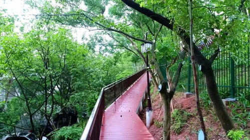 福州丛林栈道旅游攻略