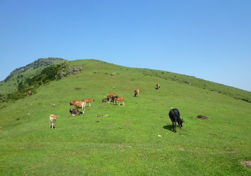 福州山姆大草原攻略