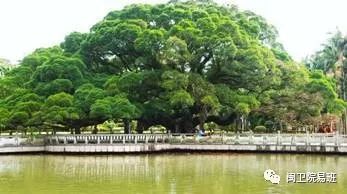 福州鼓山上哪家好吃的
