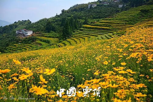 中国福州云顶游览攻略