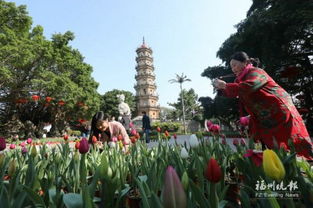 福州春节有哪些好玩的