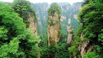 福州 张家界旅游攻略