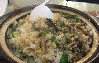 福州市区煲仔饭哪里好吃